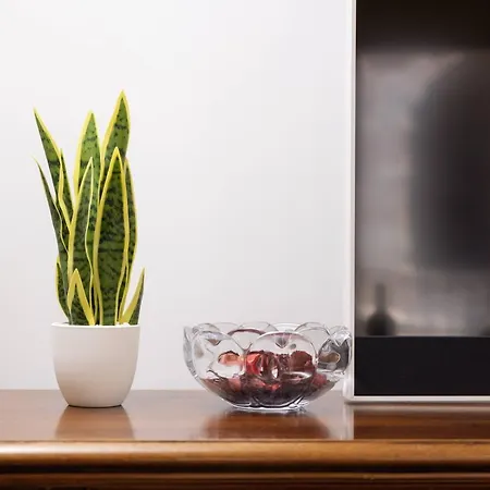 Vista Arena, Incredibile * Werona